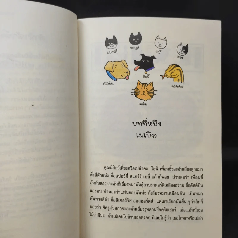 เหมียว เหมียว มัมมี่แมว - Jacqueline Wilson รูปที่ 11