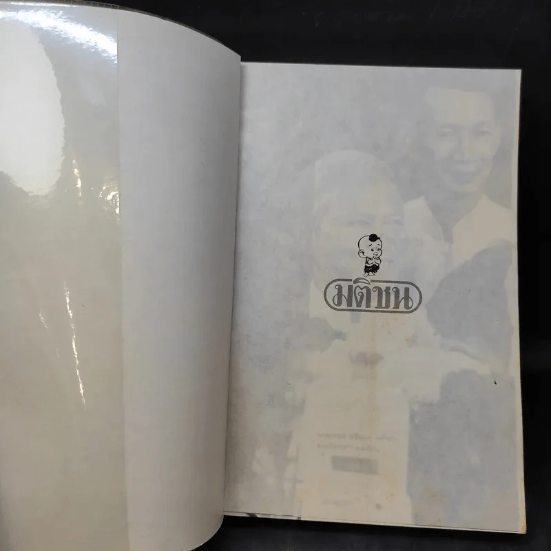 726 วันใต้บัลลังก์ เปรม - น.ต.ประสงค์ สุ่นศิริ รูปที่ 9