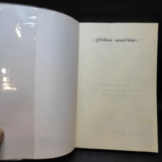 ภูเก็ตพังแน่ แม่แม่กำลังมา - วไลลักษณ์ อุณจักร แปล รูปที่ 8