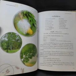 ประจิตรานุสติวรรณนา พระราชทานเพลิงศพ นายประจิตร ยศสุนทร รูปที่ 20
