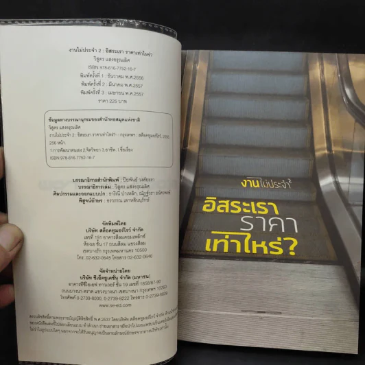 งานไม่ประจำ 2 อิสระเราราคาเท่าไหร่? - วิสูตร แสงอรุณเลิศ รูปที่ 8