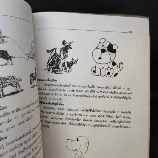 สุนัขพันธุ์ต่างประเทศ - สันต์ นาคะสุวรรณ รูปที่ 15