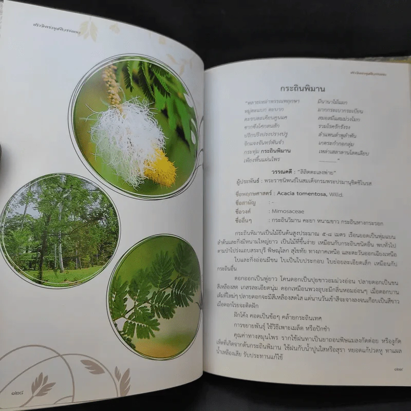 ประจิตรานุสติวรรณนา พระราชทานเพลิงศพ นายประจิตร ยศสุนทร รูปที่ 20