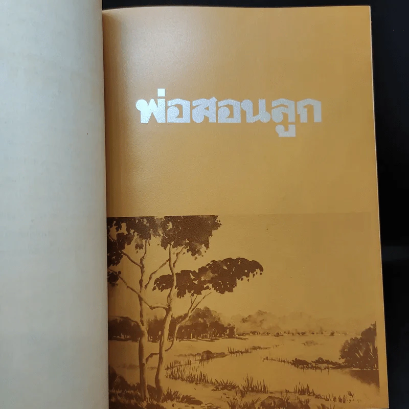 พระราชทานเพลิงศพ นายทวี บุณยเกตุ รูปที่ 13