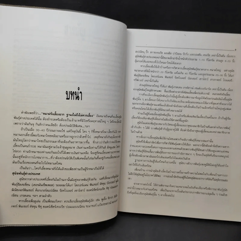 สุนัขพันธุ์ต่างประเทศ - สันต์ นาคะสุวรรณ รูปที่ 11