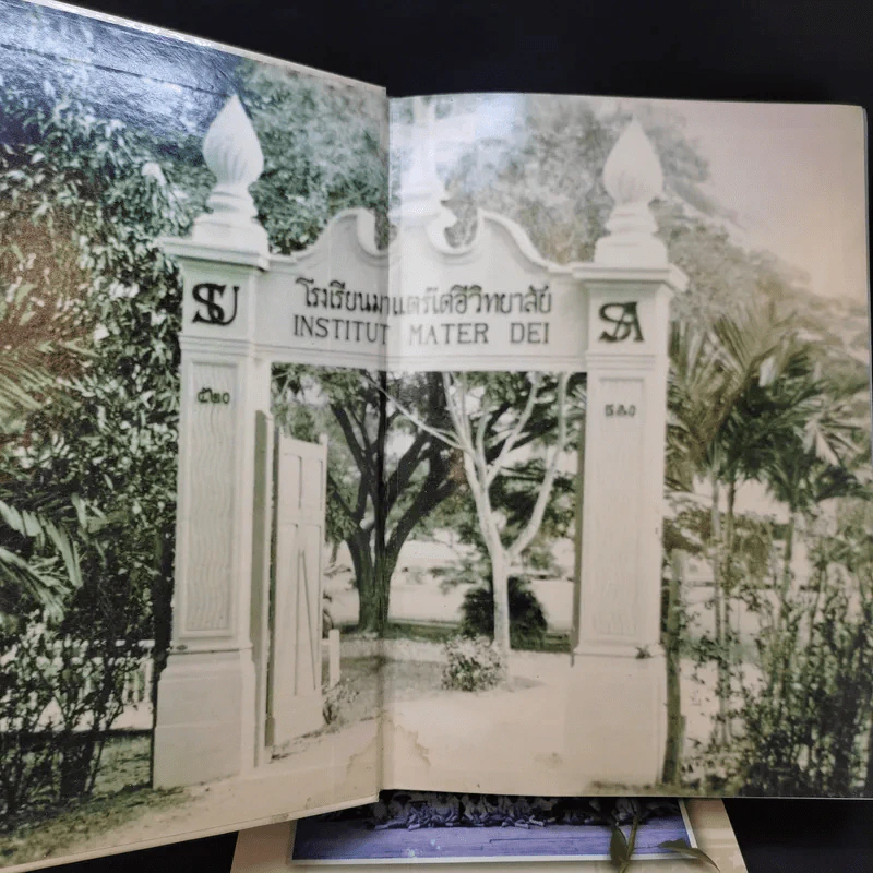 ได้รู้จัก คือได้รัก มาแตร์เดอี 3 เล่ม รูปที่ 11