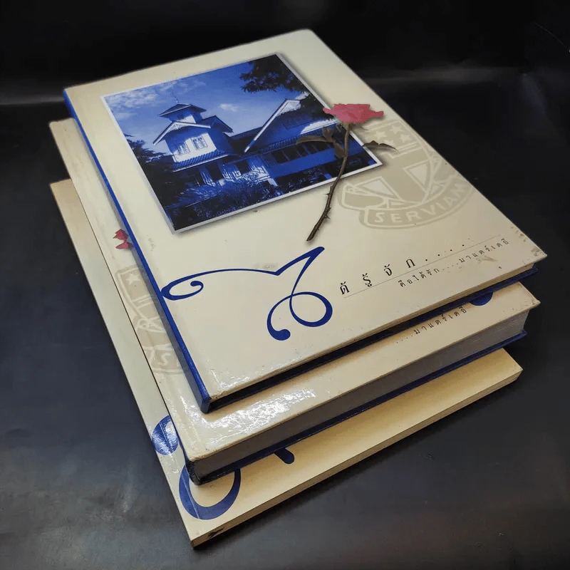 ได้รู้จัก คือได้รัก มาแตร์เดอี 3 เล่ม รูปที่ 8