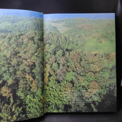 พรรณไม้ในสวนหลวง ร.9 รูปที่ 10