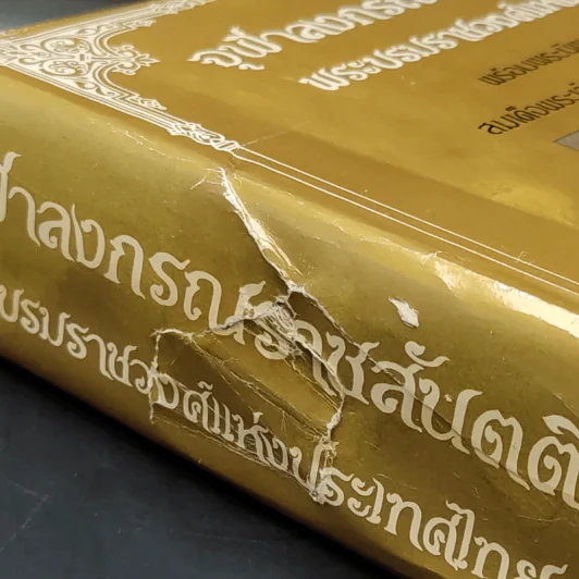 จุฬาลงกรณราชสันตติวงศ์ พระบรมราชวงศ์แห่งประเทศไทย - เจฟฟรี ไฟน์สโตน รูปที่ 9