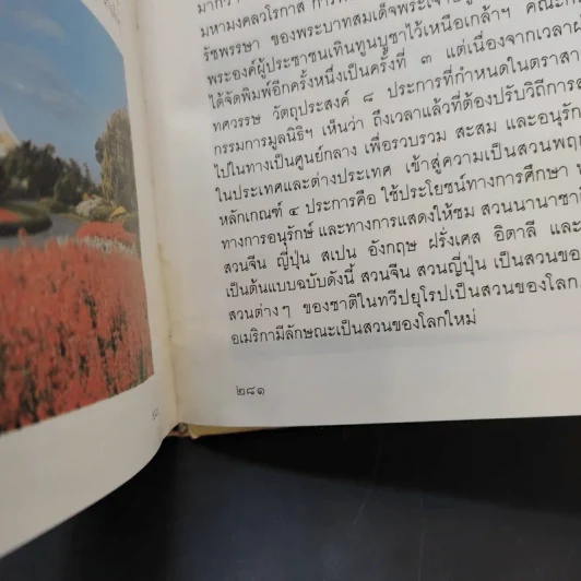 พรรณไม้ในสวนหลวง ร.9 รูปที่ 16