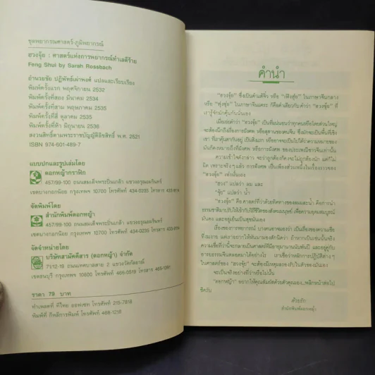 ฮวงจุ้ย ศาสตร์แห่งการพยากรณ์ทำเลดีร้าย - Sarah Rossback รูปที่ 10
