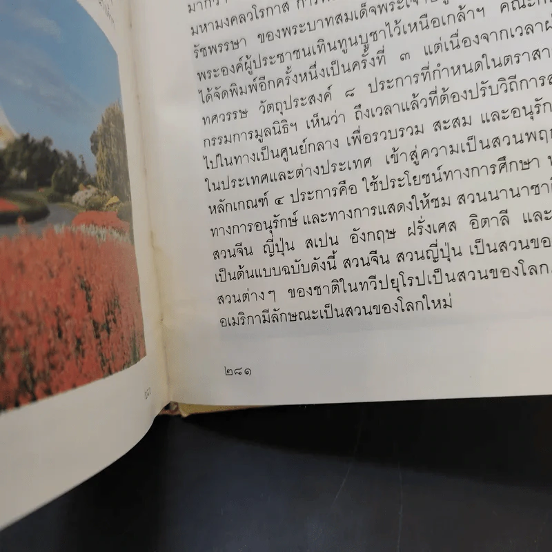 พรรณไม้ในสวนหลวง ร.9 รูปที่ 16