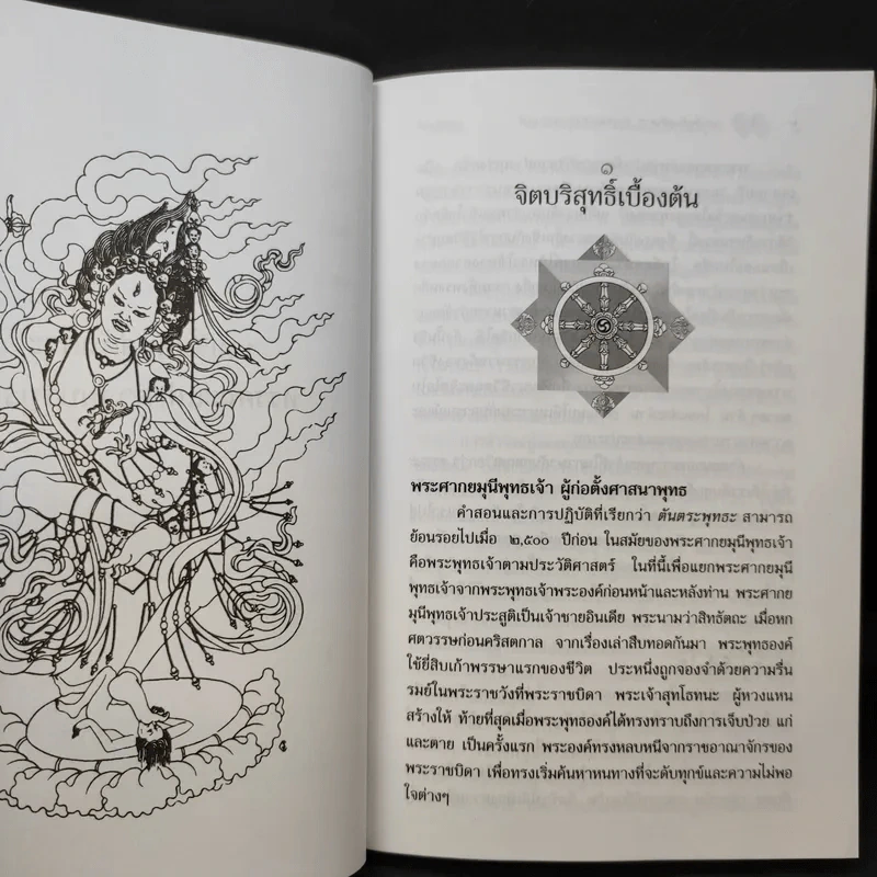 บทเริ่มต้นสู่ตันตระ ทรรศนะแห่งความบริบูรณ์ - ลามะเยเซ่ รูปที่ 11