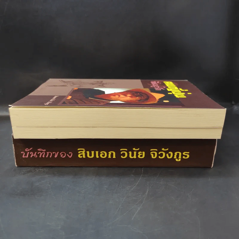 บันทึกของสิบเอก วินัย จิวังกูร Boxset + หนังสือ 2 เล่ม รูปที่ 4