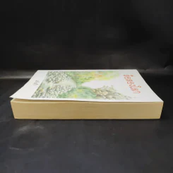 สื่อสองโลก - แก้วเก้า รูปที่ 5