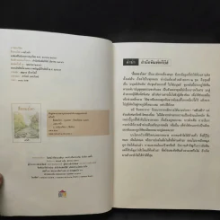 สื่อสองโลก - แก้วเก้า รูปที่ 9