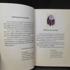 อนุสรณ์งานพระราชทานเพลิงศพเป็นกรณีพิเศษ นายจุฬา สนิทวงศ์ ณ อยุธยา รูปที่ 9