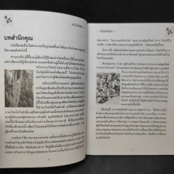 นาฬิกาชีวิต ตอน 2 มะรุม ต้นไม้เพื่อชีวิต รูปที่ 10