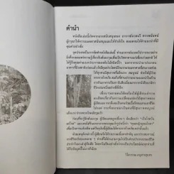 นาฬิกาชีวิต ตอน 2 มะรุม ต้นไม้เพื่อชีวิต รูปที่ 9