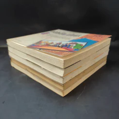แลหลังแดนมังกร เล่ม 1-5 - ถาวร สิกขโกศล แปล รูปที่ 6