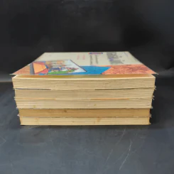 แลหลังแดนมังกร เล่ม 1-5 - ถาวร สิกขโกศล แปล รูปที่ 4