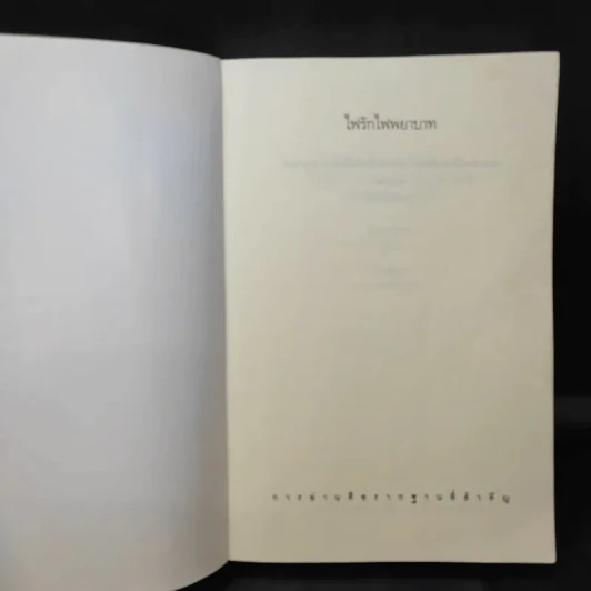 ไฟรักไฟพยาบาท - Sidney Sheldon รูปที่ 9