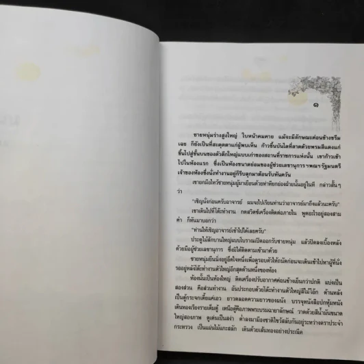 มนตรา - แก้วเก้า รูปที่ 10
