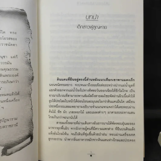 จันทราอุษาคเนย์ 2 เล่มจบ - วรรณวรรธน์ รูปที่ 10