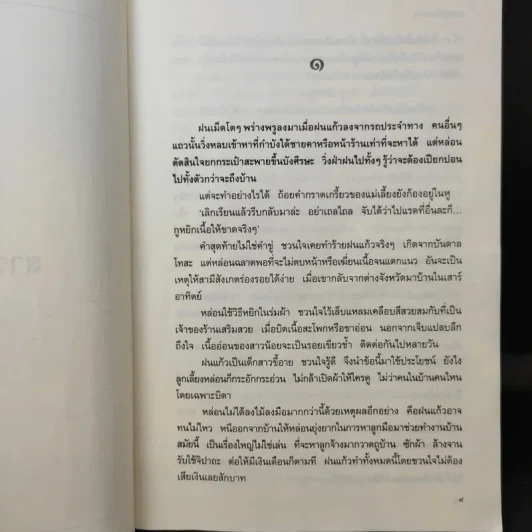 สาวสองวิญญาณ - แก้วเก้า รูปที่ 10