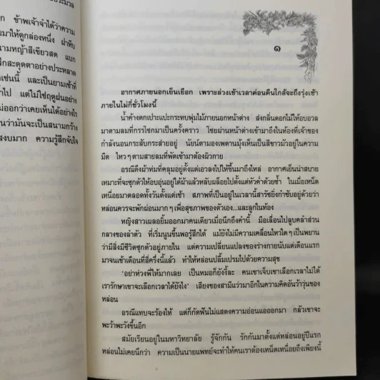 นางทิพย์ - แก้วเก้า รูปที่ 10