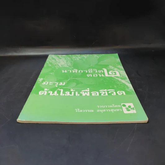 นาฬิกาชีวิต ตอน 2 มะรุม ต้นไม้เพื่อชีวิต รูปที่ 4