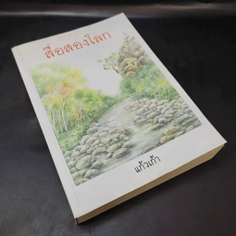 สื่อสองโลก - แก้วเก้า รูปที่ 8