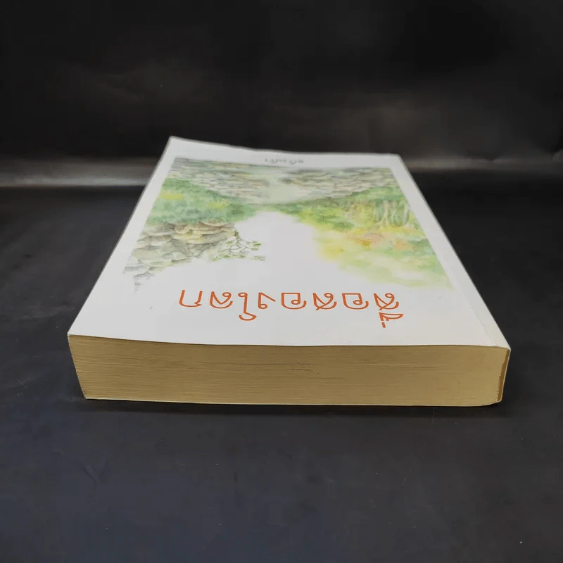 สื่อสองโลก - แก้วเก้า รูปที่ 6