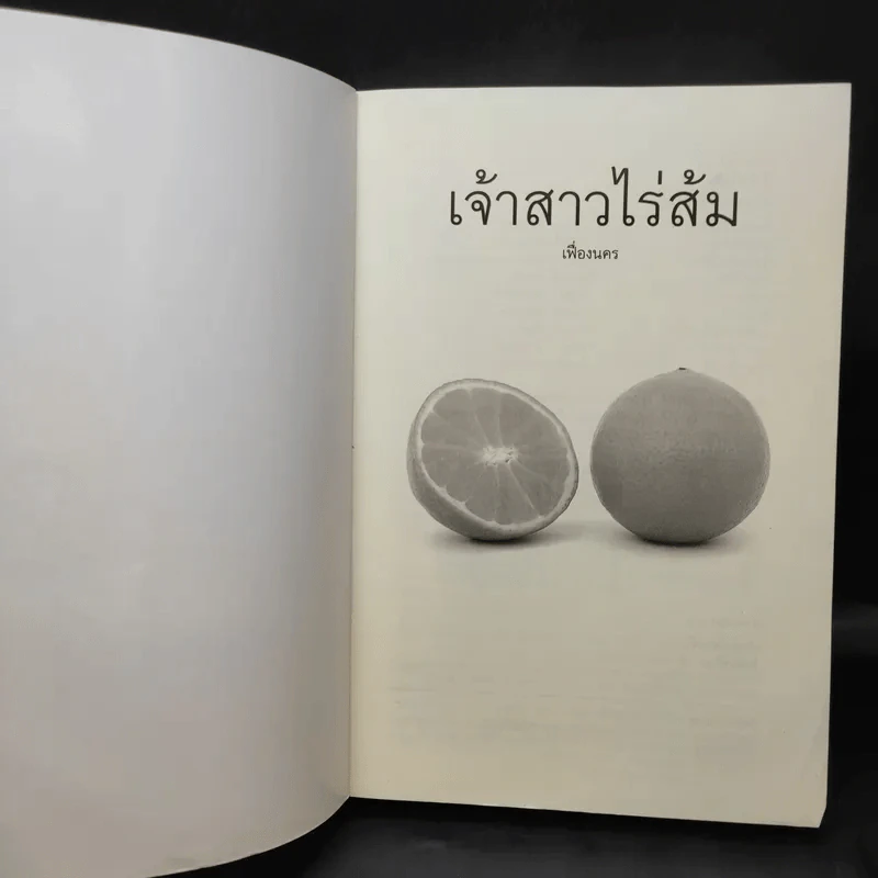 เจ้าสาวไร่ส้ม - เฟื่องนคร รูปที่ 9