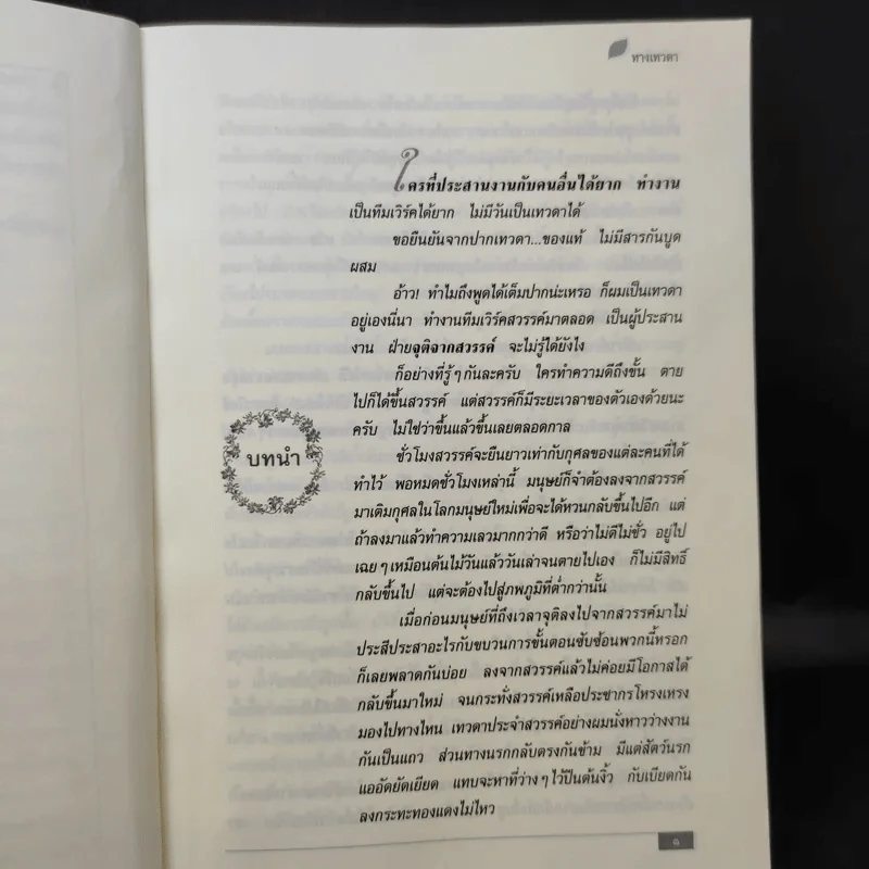 ทางเทวดา-เทวาวาด - แก้วเก้า รูปที่ 10