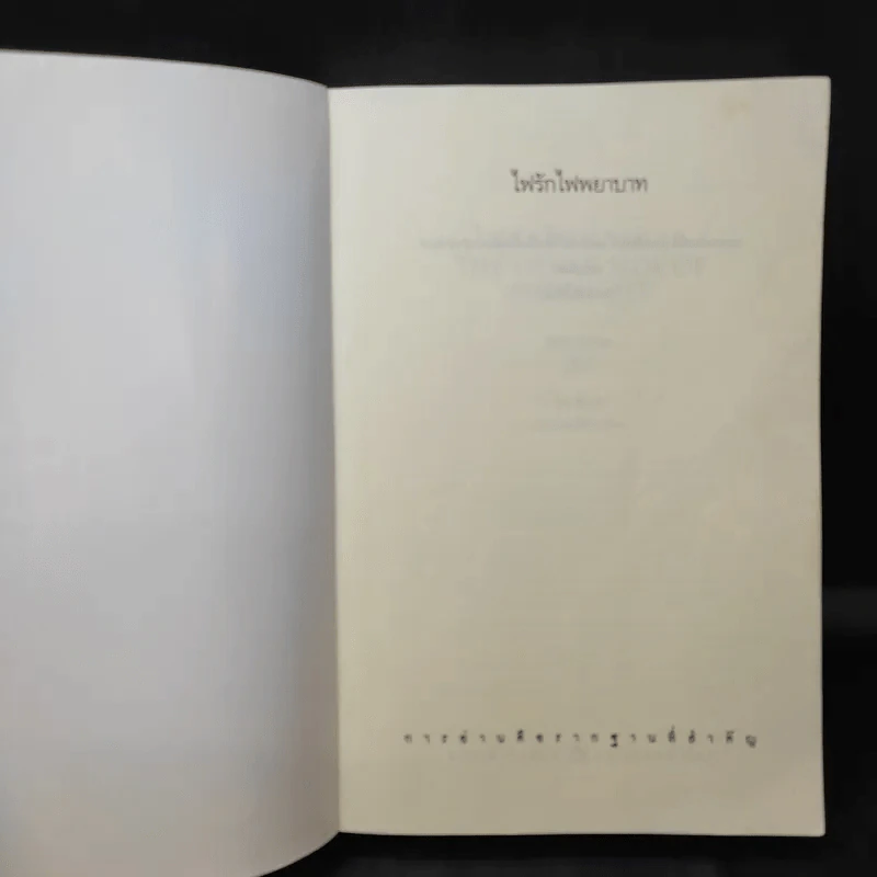 ไฟรักไฟพยาบาท - Sidney Sheldon รูปที่ 9