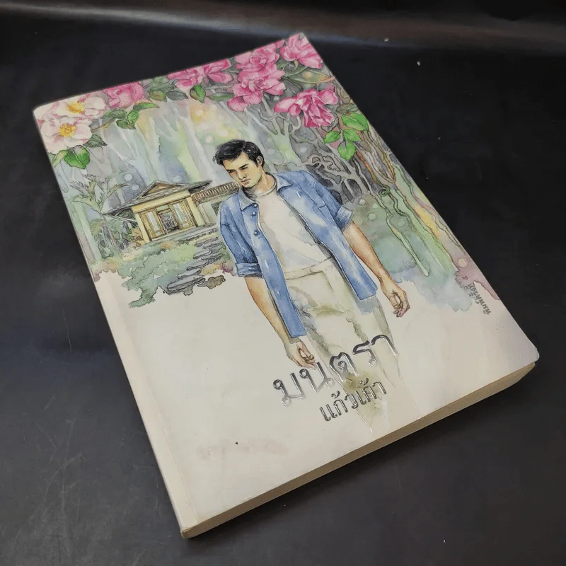 มนตรา - แก้วเก้า รูปที่ 7
