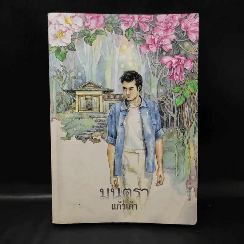 มนตรา - แก้วเก้า รูปที่ 1