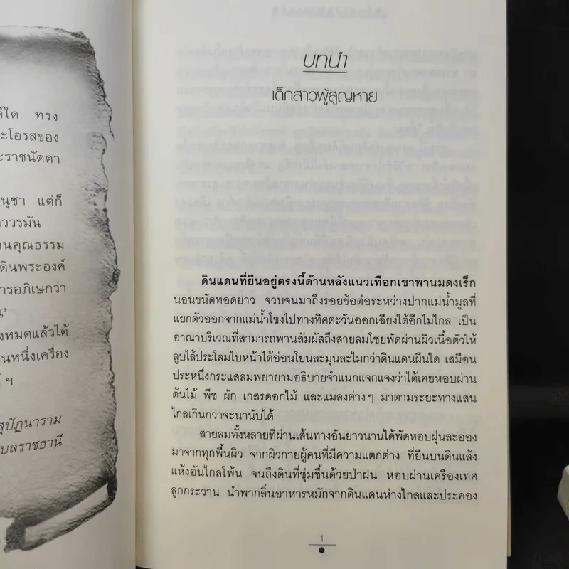 จันทราอุษาคเนย์ 2 เล่มจบ - วรรณวรรธน์ รูปที่ 10