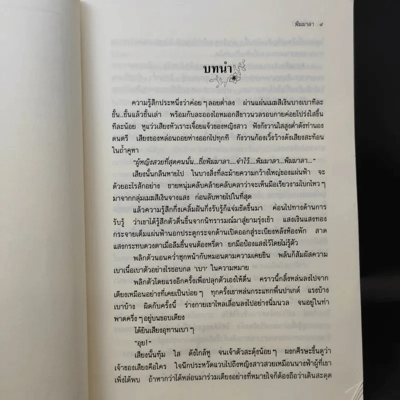 พิมมาลา - แก้วเก้า รูปที่ 11