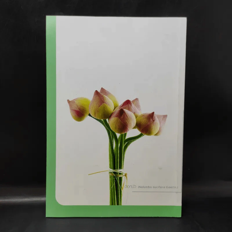 บุญกิริยา - น.ท.น.พ.จักรพงศ์ ไพบูลย์ (ที่ระลึกงานศพคุณพ่อเชิญ ประสงค์) รูปที่ 2