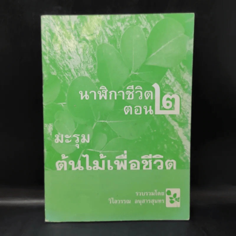นาฬิกาชีวิต ตอน 2 มะรุม ต้นไม้เพื่อชีวิต รูปที่ 1