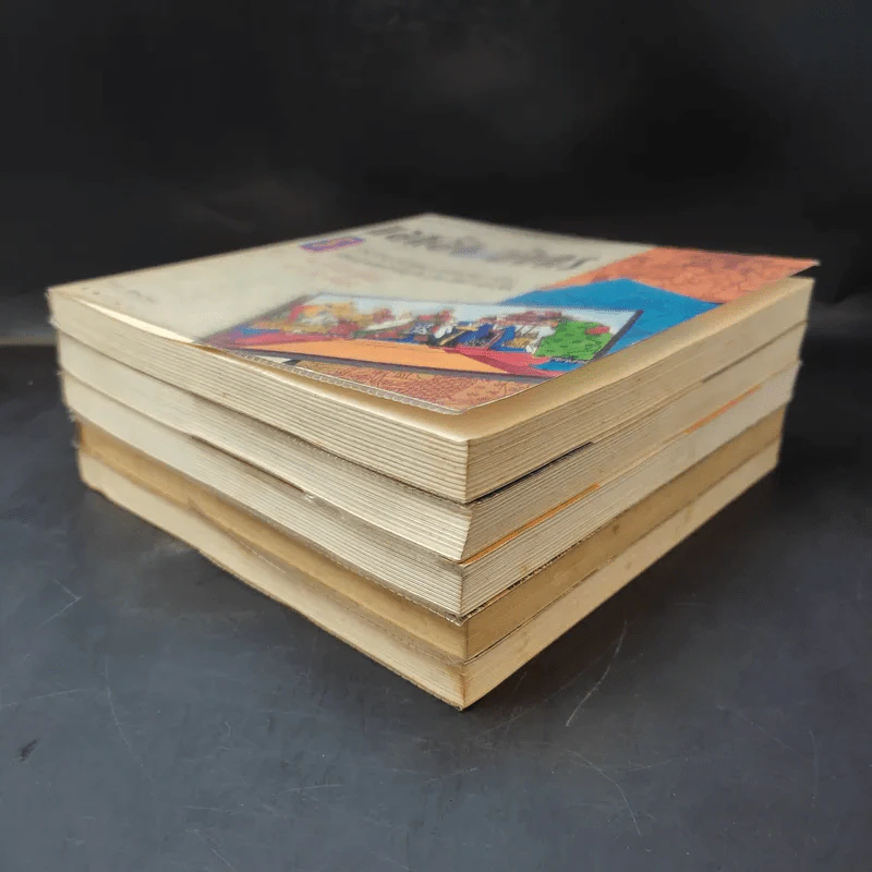 แลหลังแดนมังกร เล่ม 1-5 - ถาวร สิกขโกศล แปล รูปที่ 6