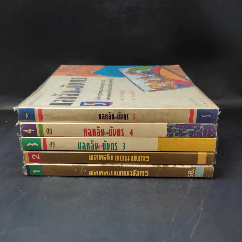 แลหลังแดนมังกร เล่ม 1-5 - ถาวร สิกขโกศล แปล รูปที่ 2