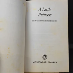 The Little Prince + A Little Princess รูปที่ 10