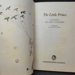The Little Prince + A Little Princess รูปที่ 15