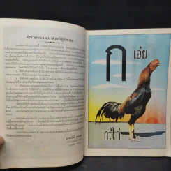 แบบเรียนก.ไก่ อนุบาล รูปที่ 9