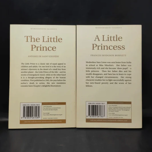 The Little Prince + A Little Princess รูปที่ 2