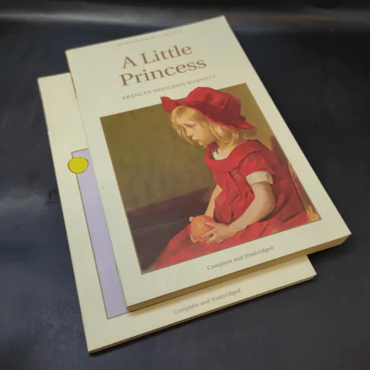 The Little Prince + A Little Princess รูปที่ 8