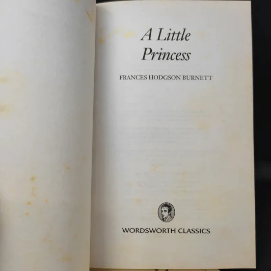 The Little Prince + A Little Princess รูปที่ 10